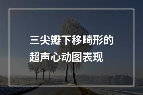 三尖瓣下移畸形的超声心动图表现