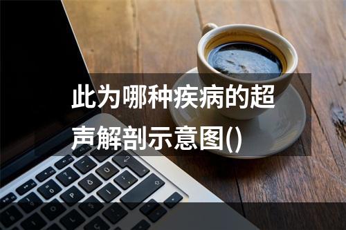 此为哪种疾病的超声解剖示意图()