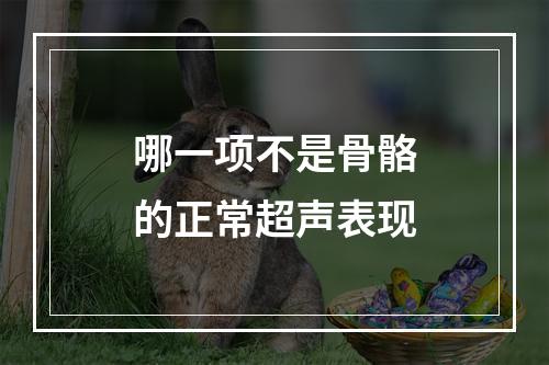 哪一项不是骨骼的正常超声表现