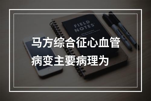 马方综合征心血管病变主要病理为