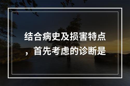 结合病史及损害特点，首先考虑的诊断是