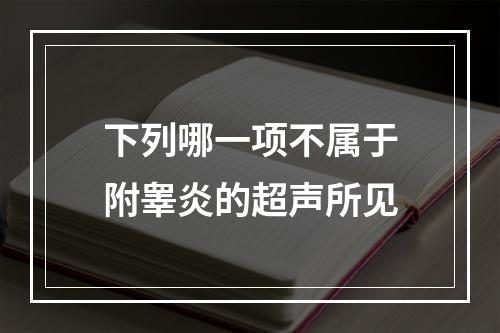 下列哪一项不属于附睾炎的超声所见