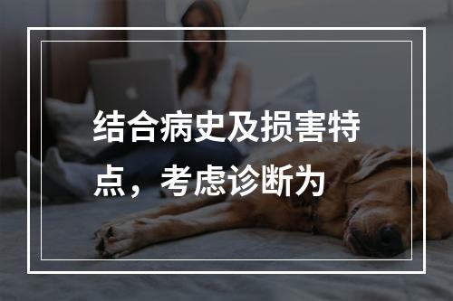 结合病史及损害特点，考虑诊断为