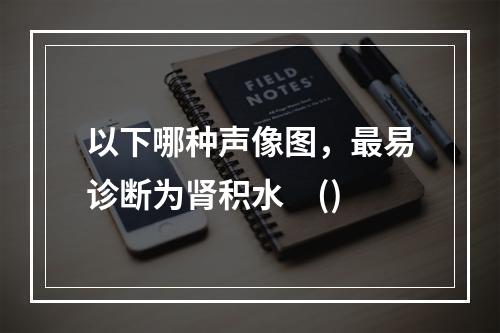 以下哪种声像图，最易诊断为肾积水　()