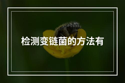 检测变链菌的方法有