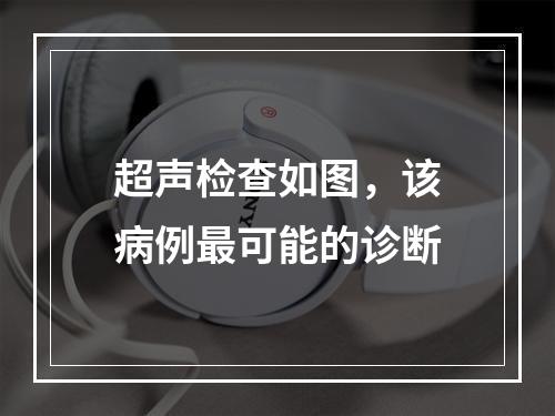 超声检查如图，该病例最可能的诊断