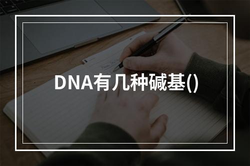 DNA有几种碱基()