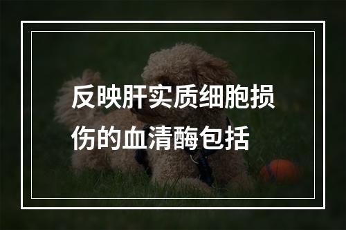 反映肝实质细胞损伤的血清酶包括