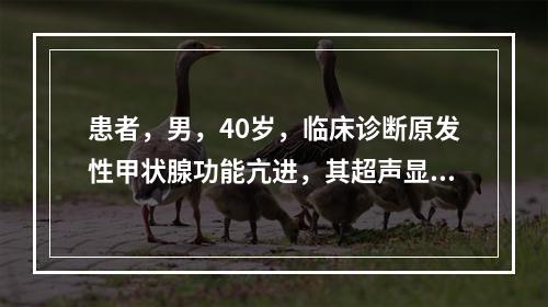 患者，男，40岁，临床诊断原发性甲状腺功能亢进，其超声显示哪