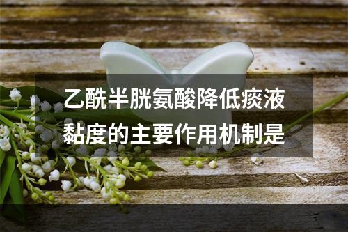 乙酰半胱氨酸降低痰液黏度的主要作用机制是