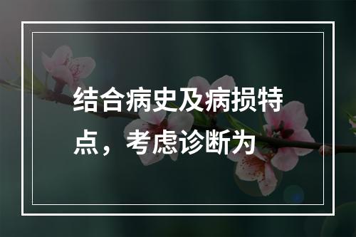 结合病史及病损特点，考虑诊断为