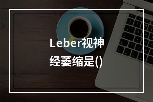 Leber视神经萎缩是()