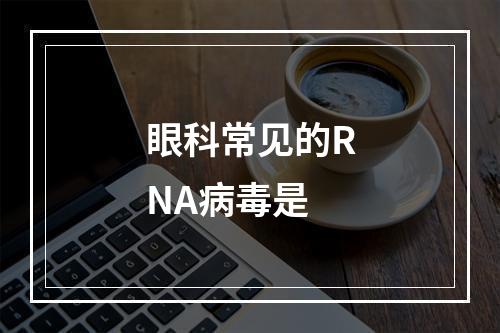 眼科常见的RNA病毒是