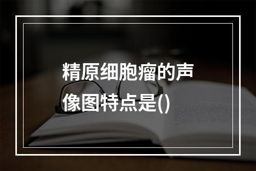 精原细胞瘤的声像图特点是()