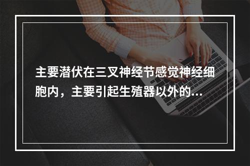 主要潜伏在三叉神经节感觉神经细胞内，主要引起生殖器以外的皮肤