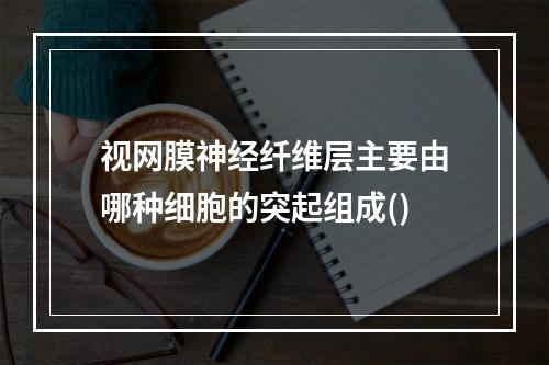 视网膜神经纤维层主要由哪种细胞的突起组成()