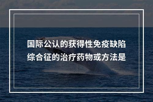 国际公认的获得性免疫缺陷综合征的治疗药物或方法是