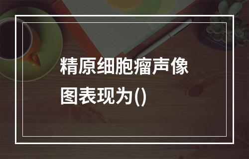 精原细胞瘤声像图表现为()