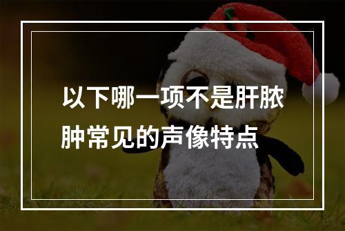 以下哪一项不是肝脓肿常见的声像特点