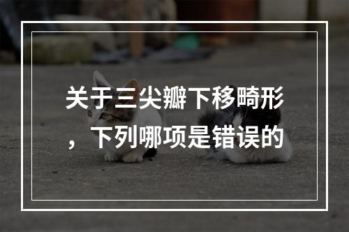 关于三尖瓣下移畸形，下列哪项是错误的