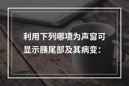 利用下列哪项为声窗可显示胰尾部及其病变：