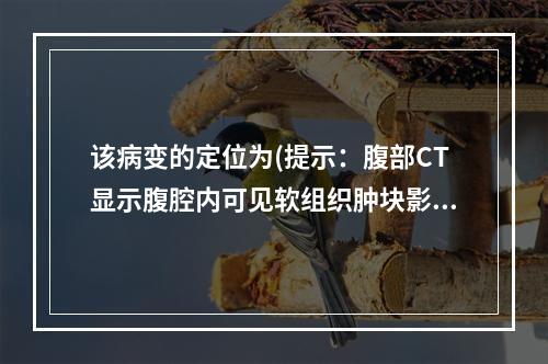 该病变的定位为(提示：腹部CT显示腹腔内可见软组织肿块影，胰