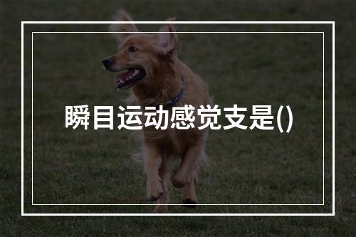 瞬目运动感觉支是()