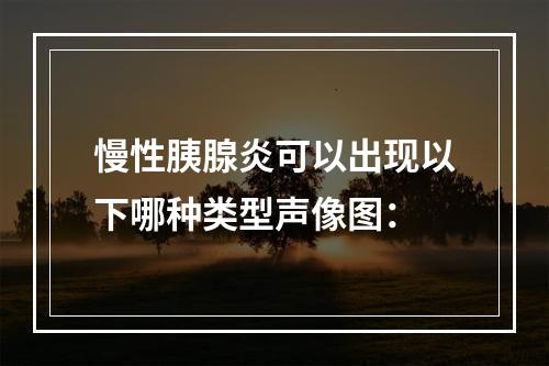 慢性胰腺炎可以出现以下哪种类型声像图：