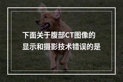 下面关于腹部CT图像的显示和摄影技术错误的是