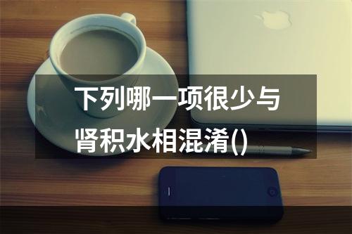 下列哪一项很少与肾积水相混淆()