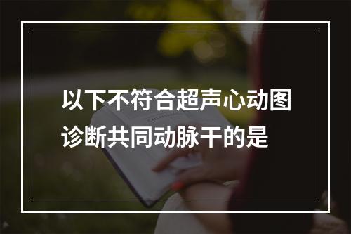 以下不符合超声心动图诊断共同动脉干的是