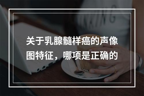 关于乳腺髓样癌的声像图特征，哪项是正确的