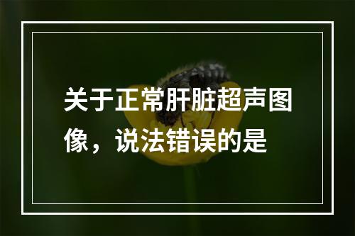 关于正常肝脏超声图像，说法错误的是