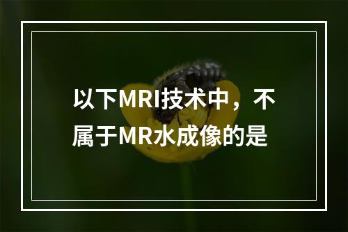 以下MRI技术中，不属于MR水成像的是