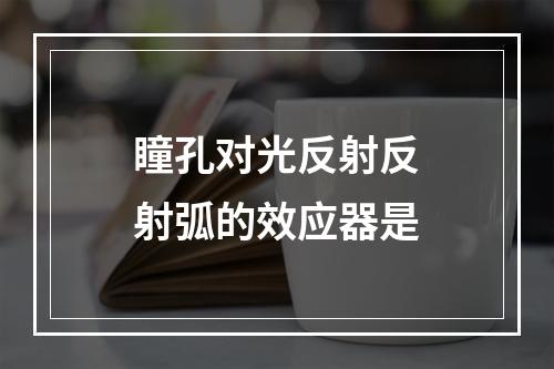 瞳孔对光反射反射弧的效应器是