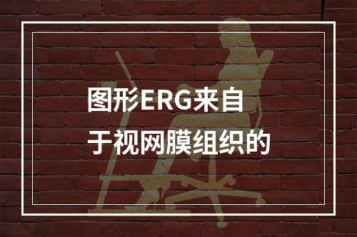 图形ERG来自于视网膜组织的