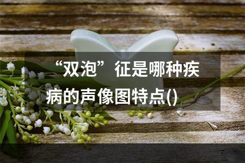 “双泡”征是哪种疾病的声像图特点()