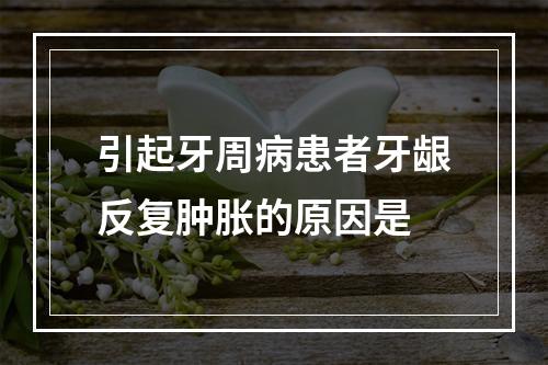 引起牙周病患者牙龈反复肿胀的原因是