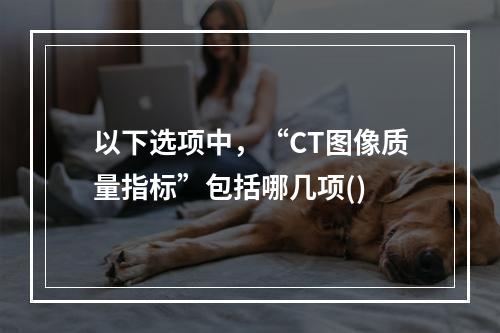 以下选项中，“CT图像质量指标”包括哪几项()