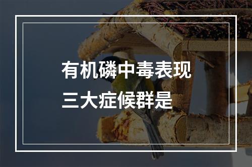 有机磷中毒表现三大症候群是