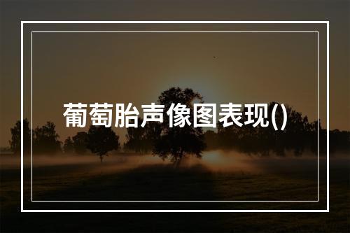 葡萄胎声像图表现()