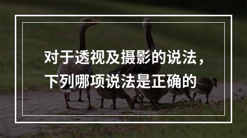 对于透视及摄影的说法，下列哪项说法是正确的