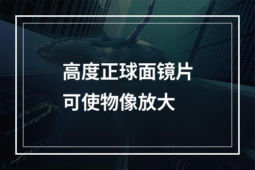 高度正球面镜片可使物像放大