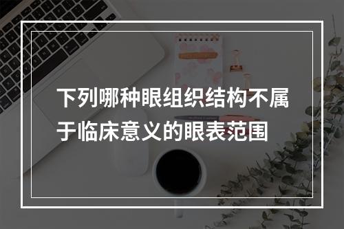 下列哪种眼组织结构不属于临床意义的眼表范围