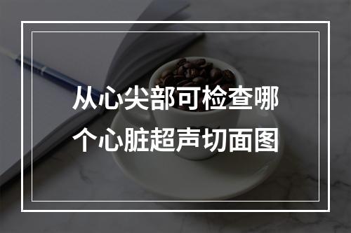 从心尖部可检查哪个心脏超声切面图