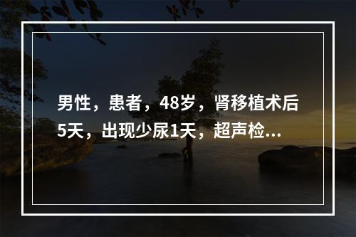 男性，患者，48岁，肾移植术后5天，出现少尿1天，超声检查见