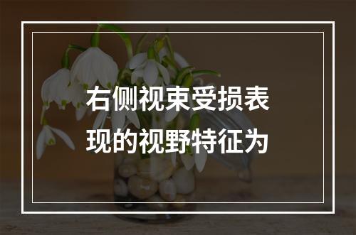 右侧视束受损表现的视野特征为