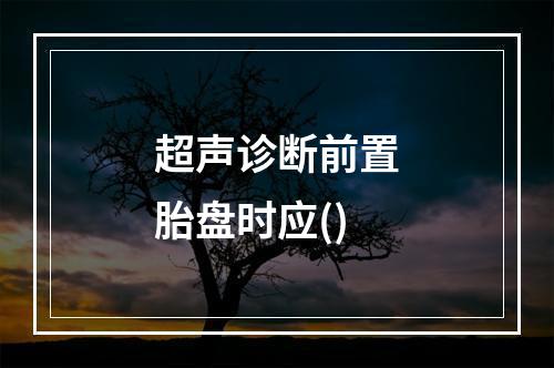 超声诊断前置胎盘时应()