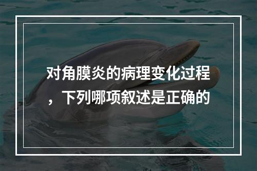 对角膜炎的病理变化过程，下列哪项叙述是正确的