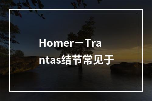 Homer－Trantas结节常见于